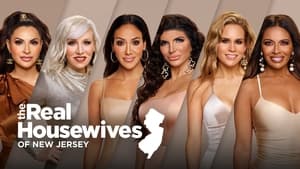 The Real Housewives of New Jersey, Season 8 image 1