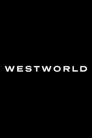 Westworld, Season 2 poster 2