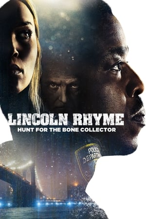 Lincoln Rhyme: Hunt for the Bone Collector, Season 1 poster 0