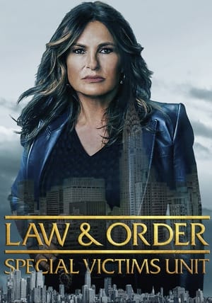 Law & Order: SVU (Special Victims Unit), Season 19 poster 3
