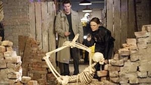 Bones, Season 3 - The Verdict in the Story image