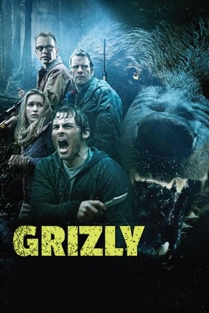 Into the Grizzly Maze poster 4