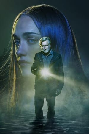 The Sinner, Season 1 poster 3