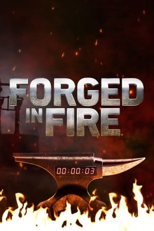 Forged in Fire, Season 8 poster 3
