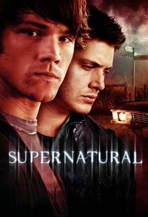 Supernatural, Season 10 poster 1