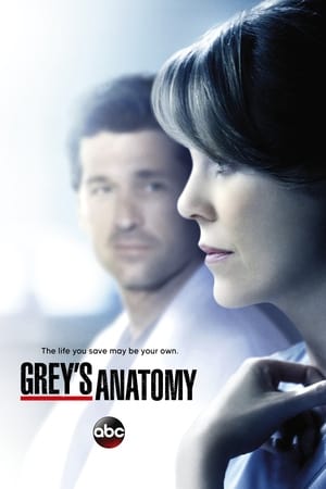 Grey's Anatomy, Season 16 poster 3