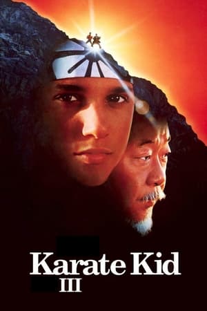 The Karate Kid: Part III poster 2