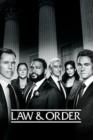 Law & Order, Season 23 poster 1