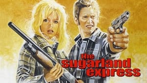 The Sugarland Express image 4