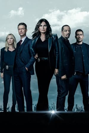 Law & Order: SVU (Special Victims Unit), Season 12 poster 1