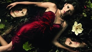 The Vampire Diaries: The Complete Series image 2