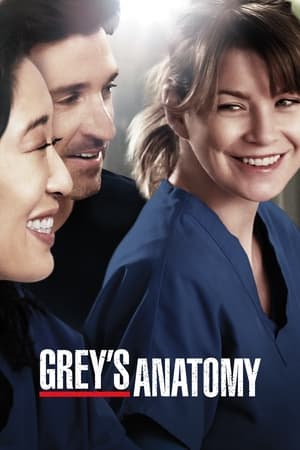 Grey's Anatomy, Season 19 poster 3