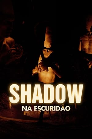 Shadow poster 2