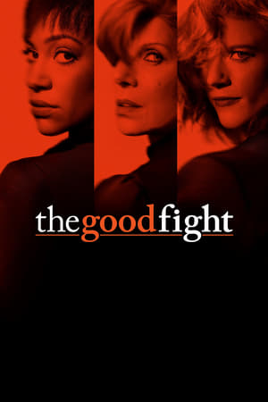 The Good Fight, Seasons 1-6 poster 3
