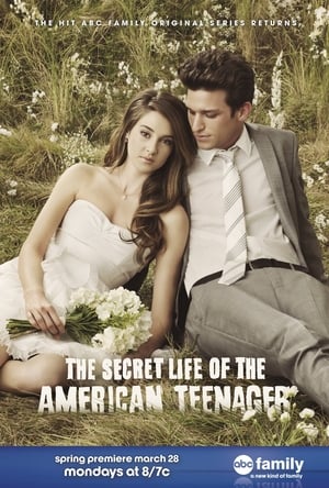The Secret Life of the American Teenager, Season 2 poster 0