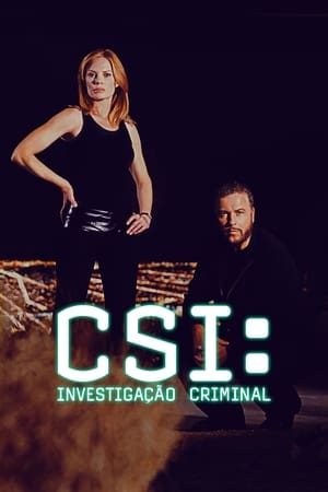 CSI: Crime Scene Investigation, Season 14 poster 2