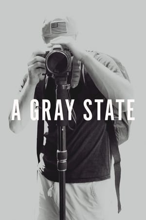 A Gray State poster 4