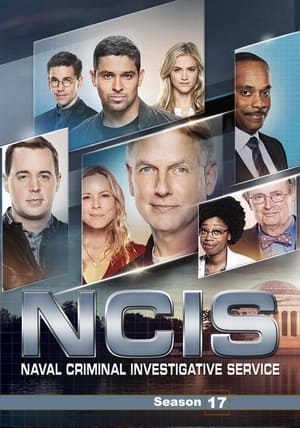 NCIS, Season 13 poster 2