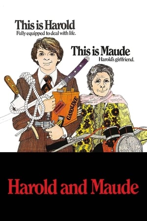 Harold and Maude poster 3