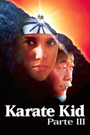 The Karate Kid: Part III poster 1