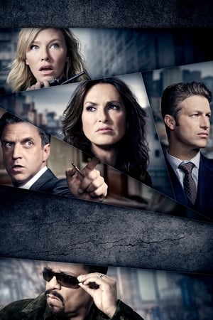 Law & Order: SVU (Special Victims Unit), Season 9 poster 3