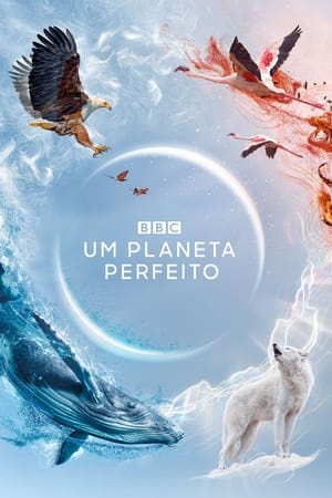 A Perfect Planet poster 1