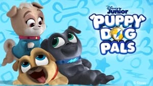 Puppy Dog Pals, Puppy Playcare image 1