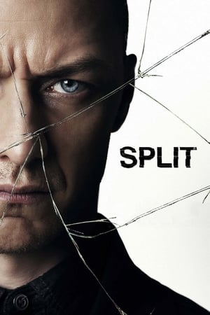 Split (2017) poster 3