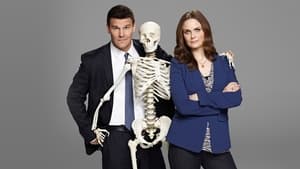 Bones, Season 5 image 1