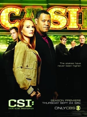 CSI: Crime Scene Investigation, The Final Episodes poster 3