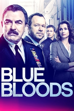 Blue Bloods, Season 4 poster 1