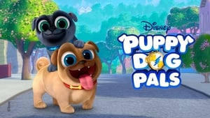 Puppy Dog Pals, Puppy Playcare image 3