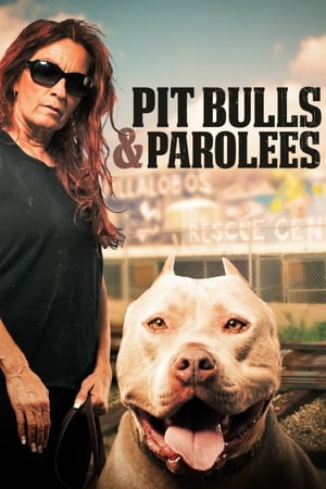 Pit Bulls and Parolees, Season 12 poster 0