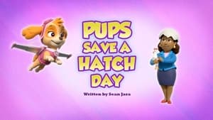 PAW Patrol, Mighty Pups - Pups Save a Hatch Day image