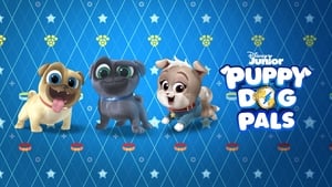 Puppy Dog Pals, Global Playtime! image 1