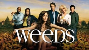 Weeds, Season 4 image 2