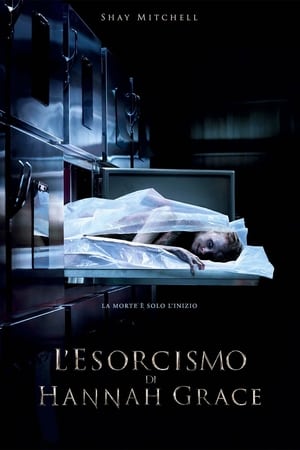 The Possession of Hannah Grace poster 4