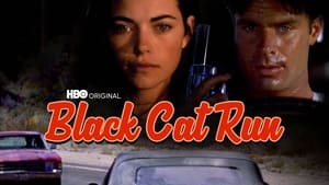 Black Cat Run image 5