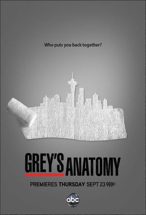 Grey's Anatomy, Season 14 poster 1
