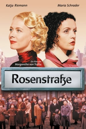 Rosenstrasse poster 4