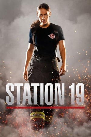 Station 19, Season 4 poster 3