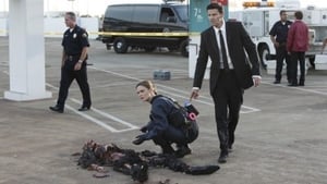 Bones, Season 5 - The Bond in the Boot image