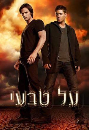 Supernatural, Season 8 poster 2