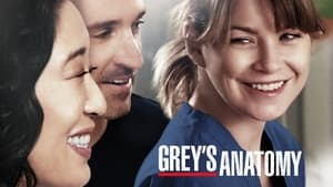 Grey's Anatomy, Season 17 image 0