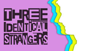 Three Identical Strangers image 2