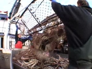 Deadliest Catch, Season 2 - On the Crab image