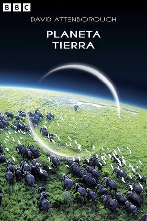Planet Earth, Series 1 poster 1