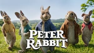 Peter Rabbit image 5