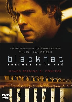 Blackhat poster 4