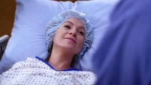 Grey's Anatomy, Season 3 - What I Am image